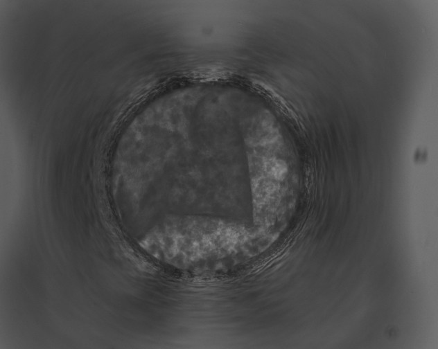 X0000095531393200801041235