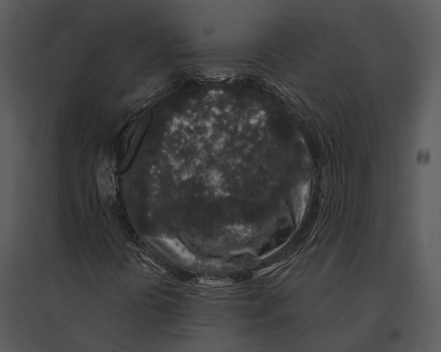 X0000095531394200801041235