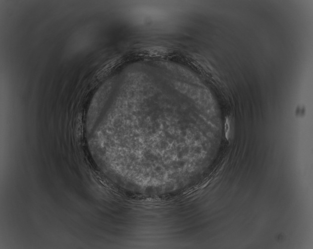 X0000095531395200801041235