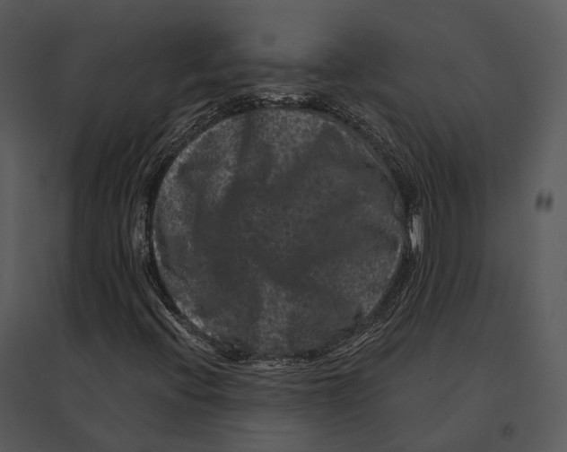 X0000095531396200801041235