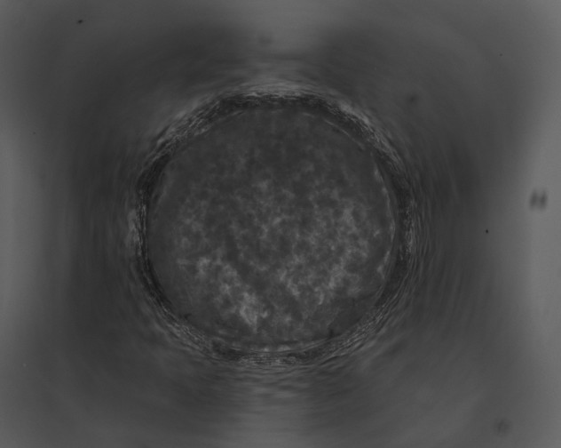 X0000095531397200801041235