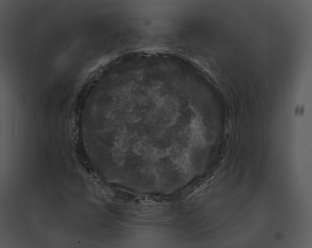 X0000095531398200801041235