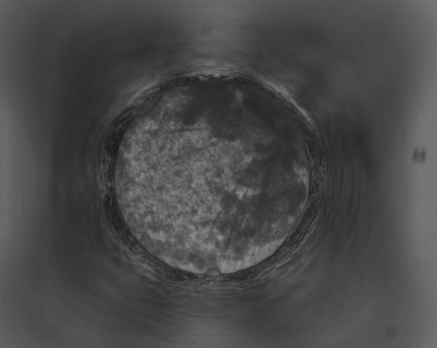 X0000095531399200801041235