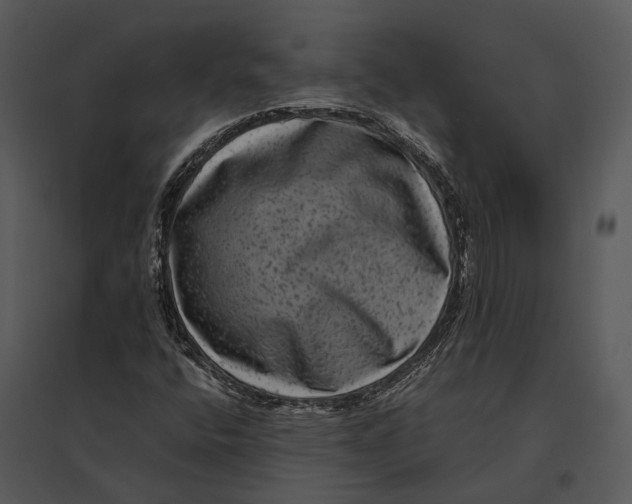 X0000095531400200801041235