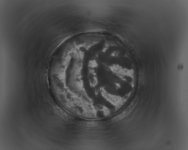 X0000095531401200801041235