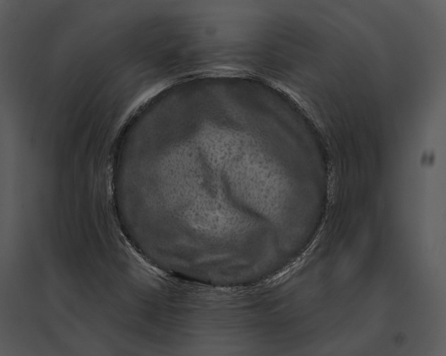 X0000095531402200801041235