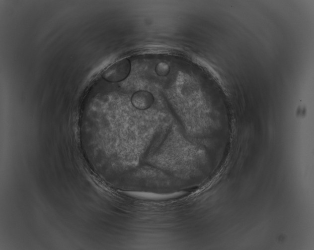 X0000095531403200801041235