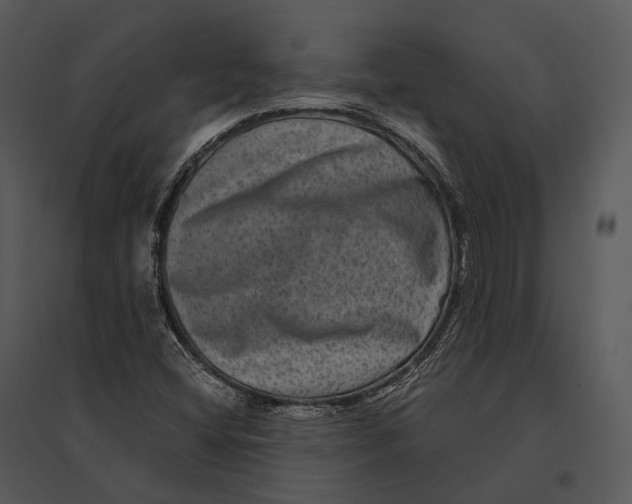 X0000095531404200801041235