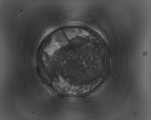 X0000095531405200801041235