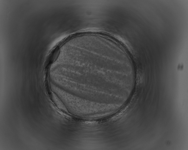 X0000095531406200801041235