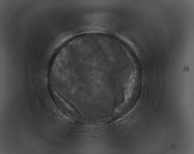 X0000095531407200801041235