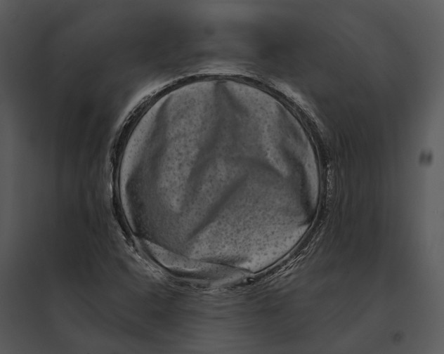 X0000095531408200801041235