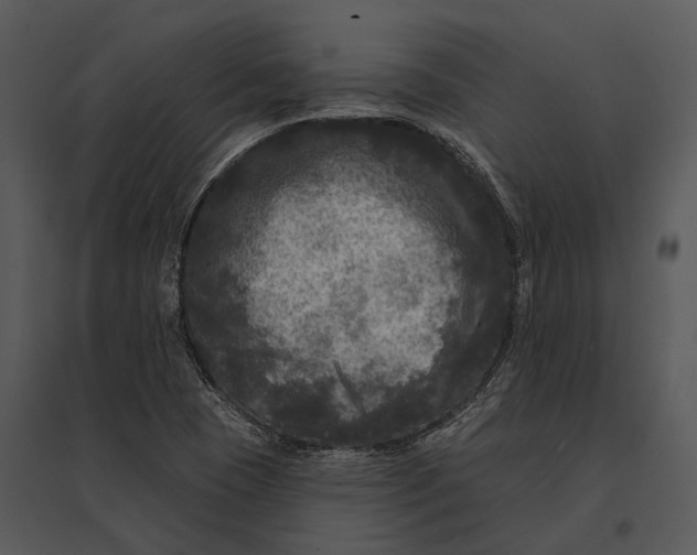 X0000095531409200801041235