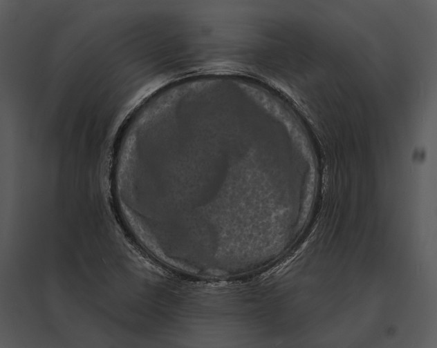 X0000095531410200801041235