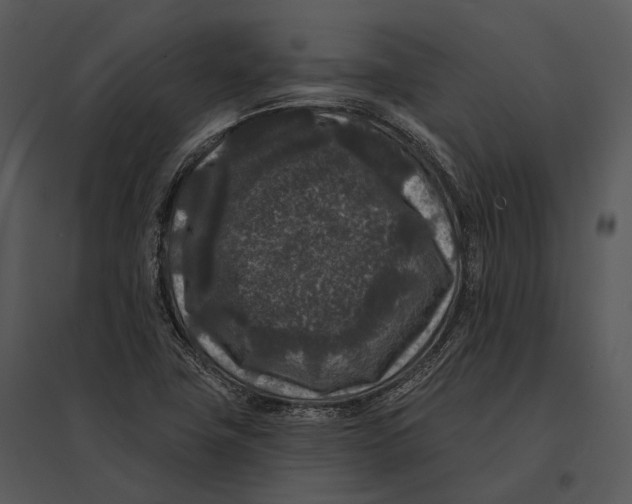 X0000095531411200801041235