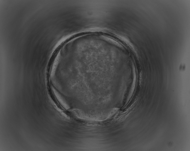 X0000095531412200801041235