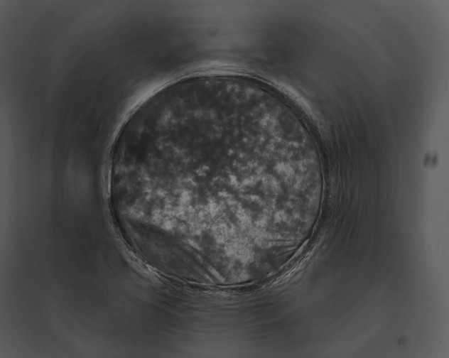 X0000095531413200801041235