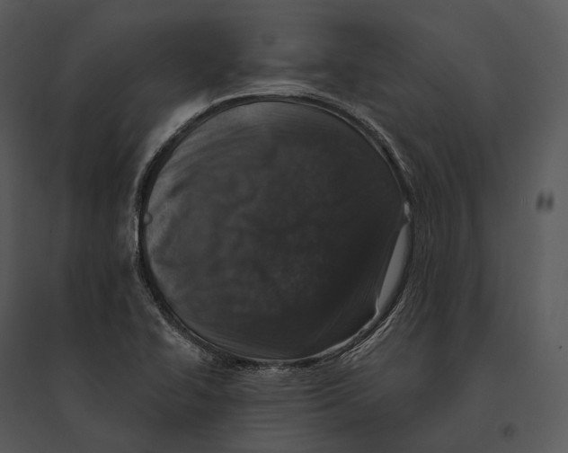 X0000095531414200801041235