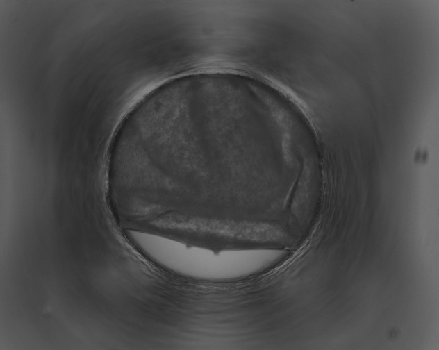 X0000095531415200801041235