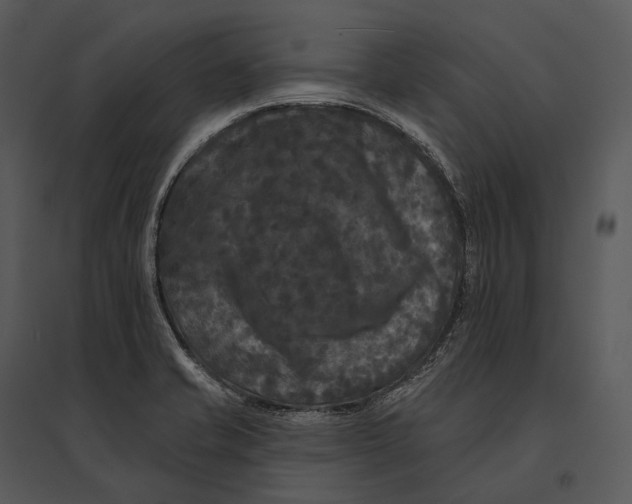 X0000095531421200801041235