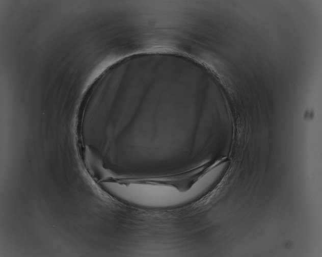 X0000095531422200801041235