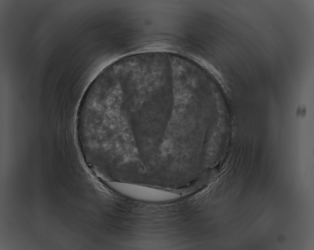 X0000095531423200801041235