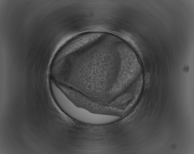 X0000095531424200801041235