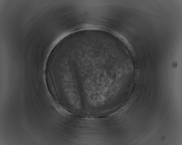 X0000095531427200801041235