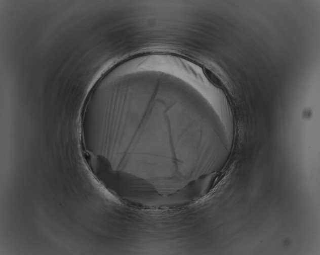 X0000095531428200801041235