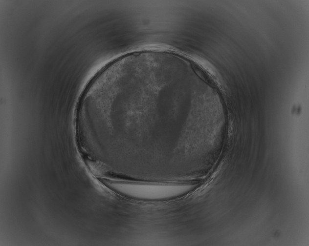 X0000095531430200801041235