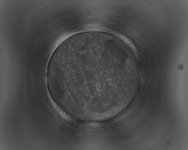 X0000095531431200801041235