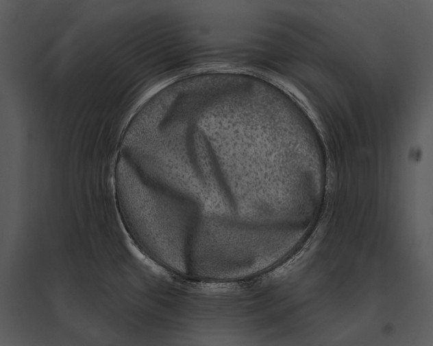 X0000095531433200801041235