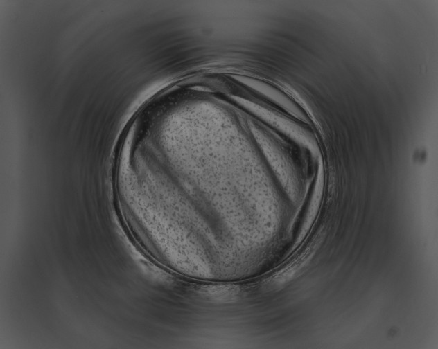 X0000095531434200801041235