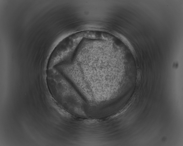 X0000095531435200801041235