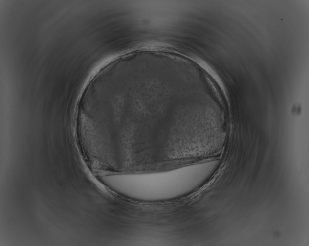 X0000095531437200801041235