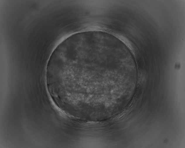 X0000095531439200801041235