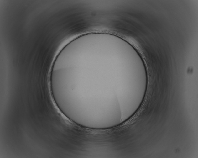 X0000095531440200801041235