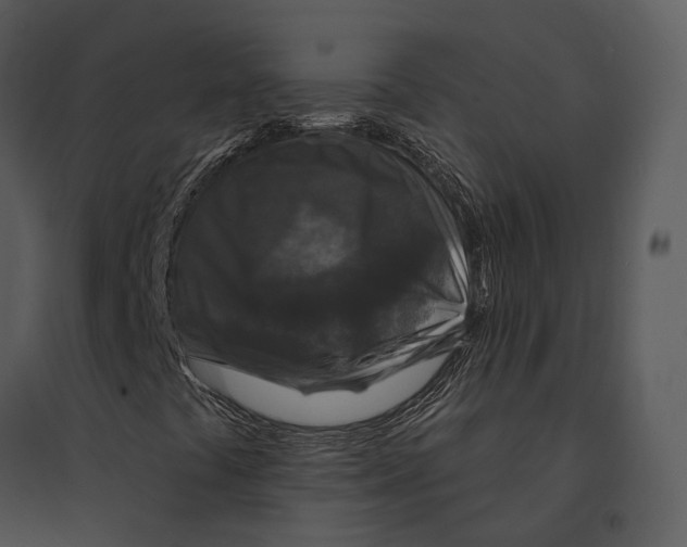 X0000095531441200801041235