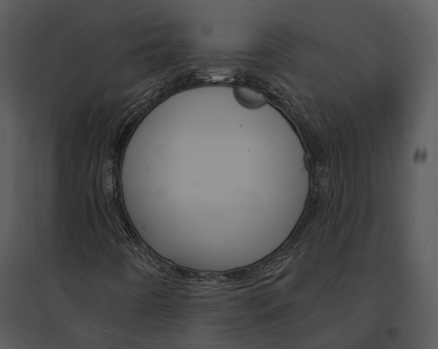 X0000095531442200801041235