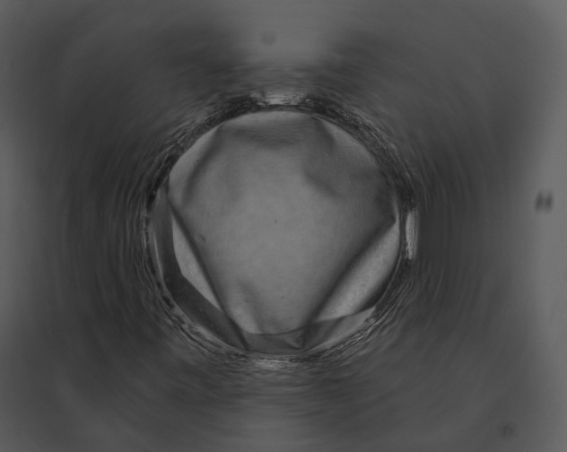 X0000095531443200801041235