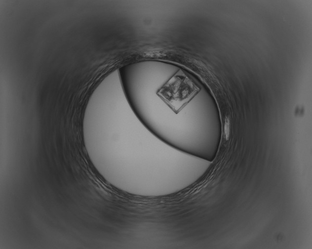 X0000095531444200801041235