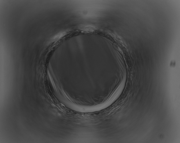 X0000095531445200801041235