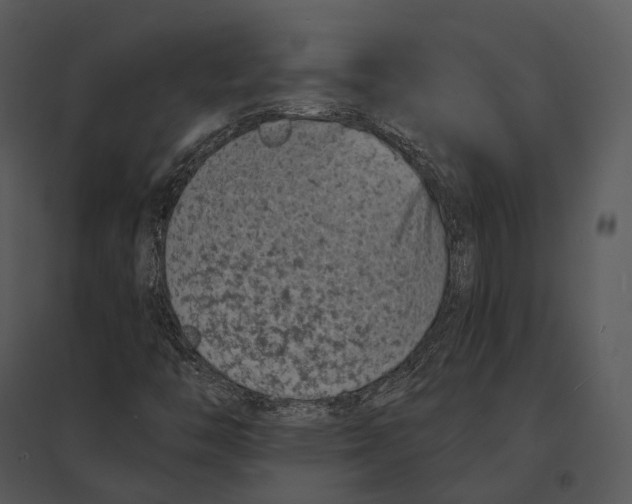 X0000095531446200801041235