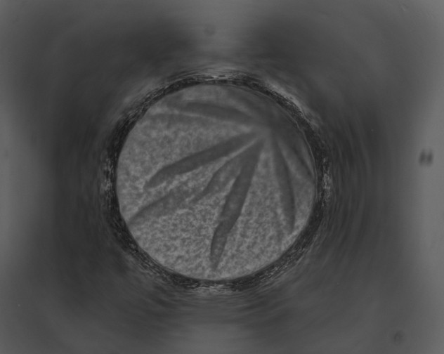 X0000095531447200801041235