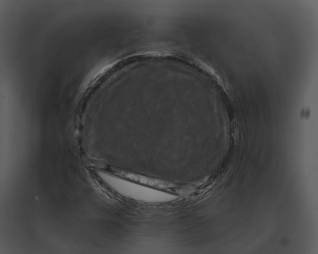 X0000095531448200801041235