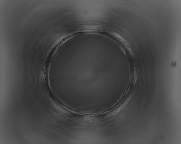 X0000095531449200801041235