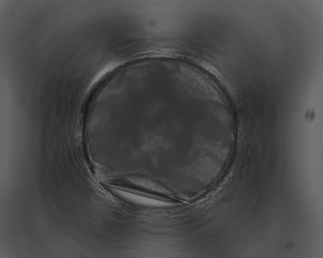 X0000095531450200801041235