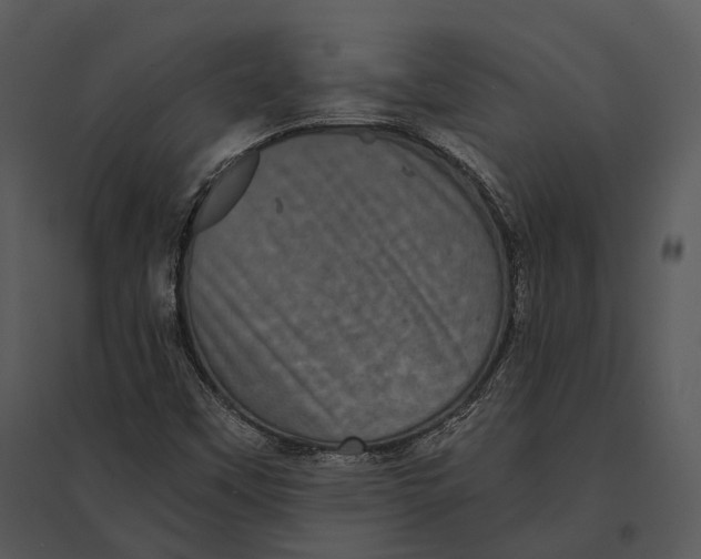 X0000095531451200801041235