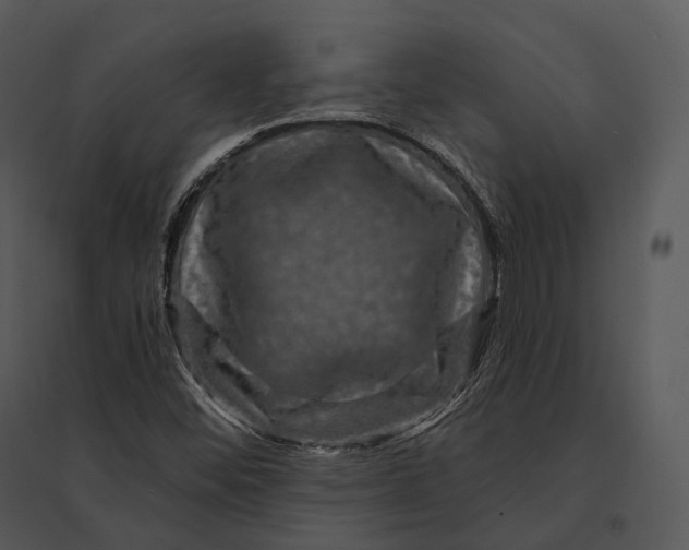 X0000095531452200801041235