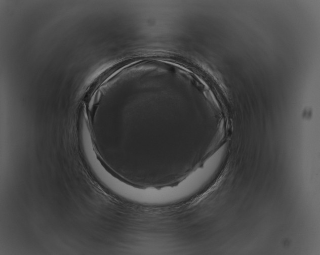 X0000095531453200801041235